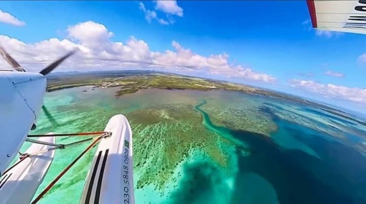 Seaplane tours