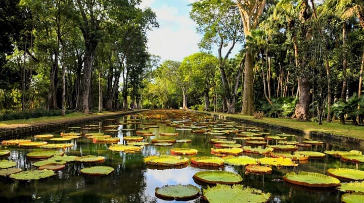 SSR Botanic Garden